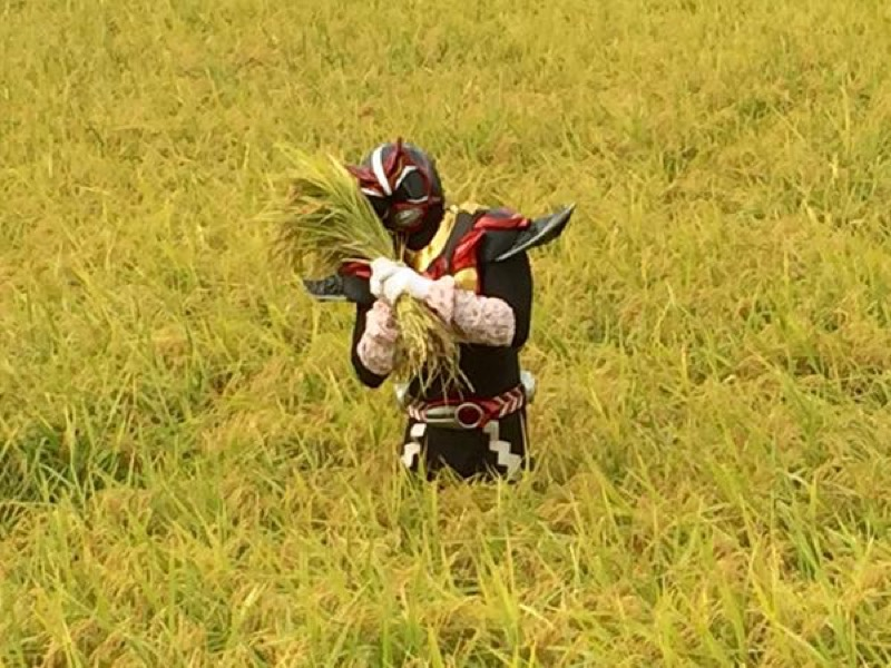 Illustration for article titled In Japan, There's a Superhero Who...Plants Rice